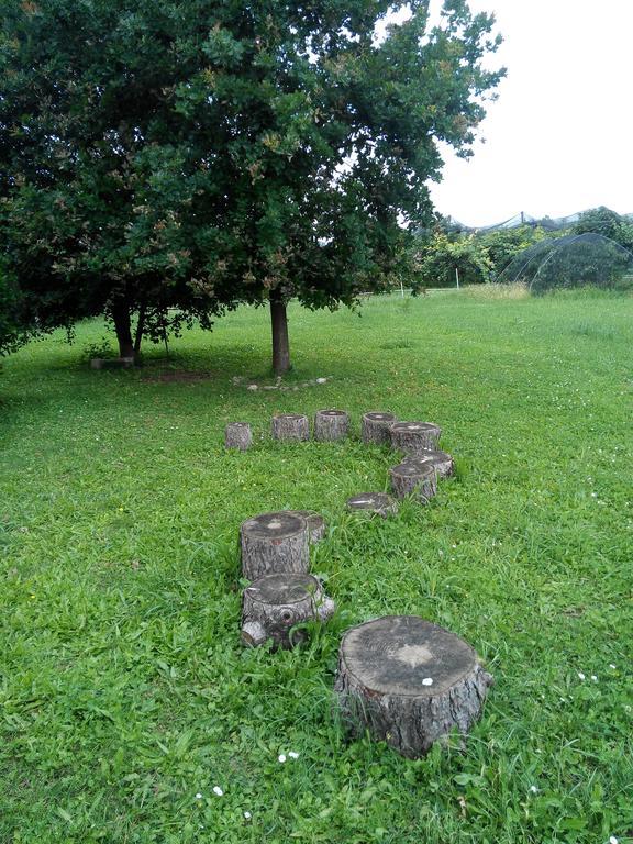 Agriturismo Ca' Del Ferro Zevio المظهر الخارجي الصورة