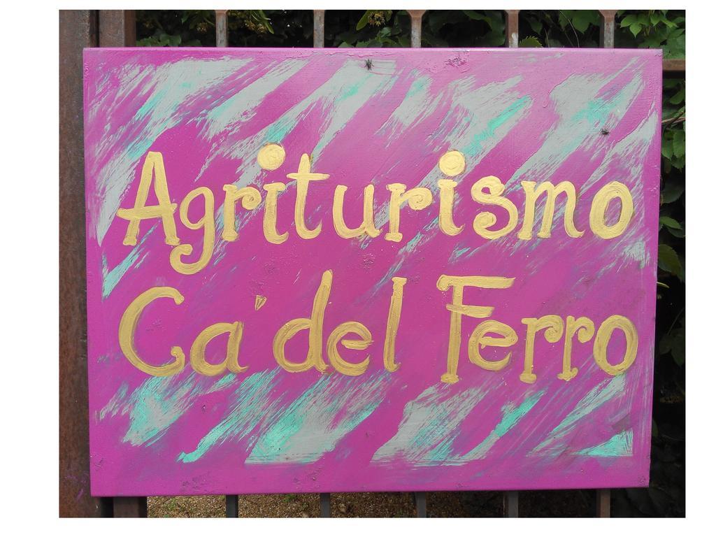 Agriturismo Ca' Del Ferro Zevio المظهر الخارجي الصورة